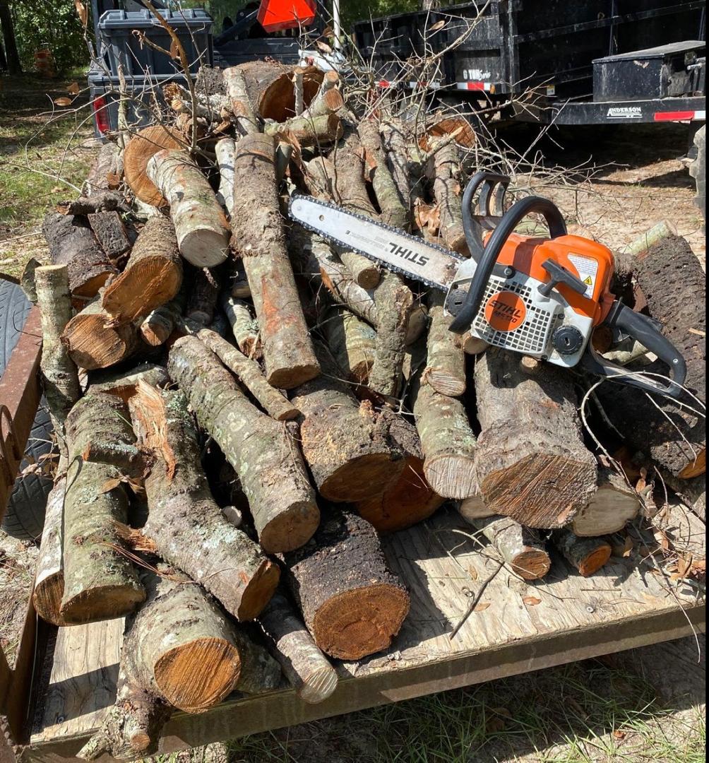 Lumberjack at work
